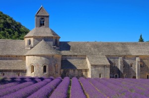 abbaye-notre-dame-de-senanquelavendel-1